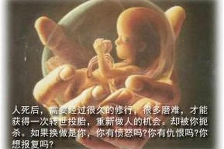 没有堕胎身上有没婴灵